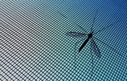 мрежа против комари